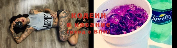 индика Навашино