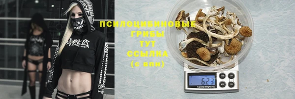 ECSTASY Надым