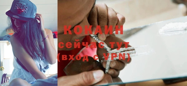дживик Михайловск