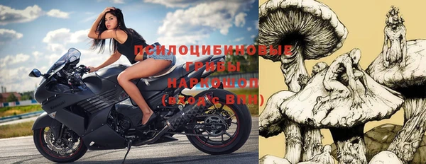 крисы Наволоки