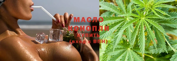 крисы Наволоки